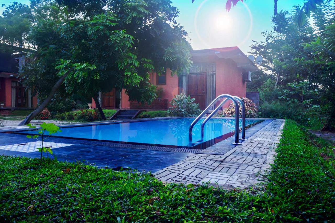Thammenna Eco Cabins Dambulla Bagian luar foto